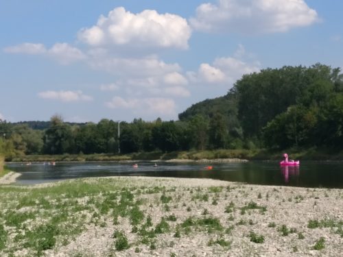 Viele Menschen baden in der Donau