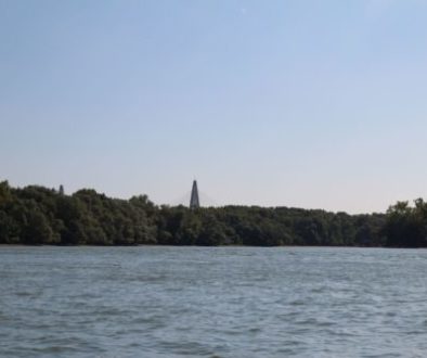 IMG_7708