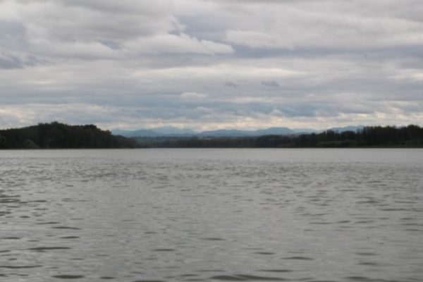img_0260388173253911922556.jpg