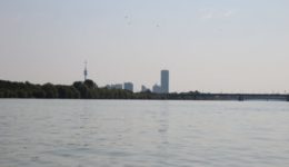 img_06662287204506705660163.jpg
