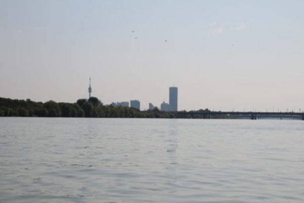 img_06662287204506705660163.jpg